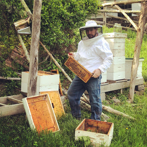 Mira's Naturals 2023 Woodstock Wild Flower Raw Honey